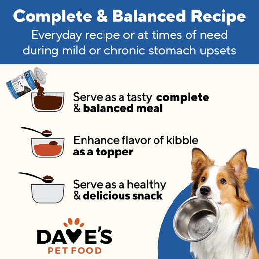 Dave's Pet Food Bland Diet Dog Food (Chicken & Rice), Sensitive Stomach, Easy to Digest, Gluten-Free, Digestive Care, Wet Canned, 13.2 oz (Case of 12)
