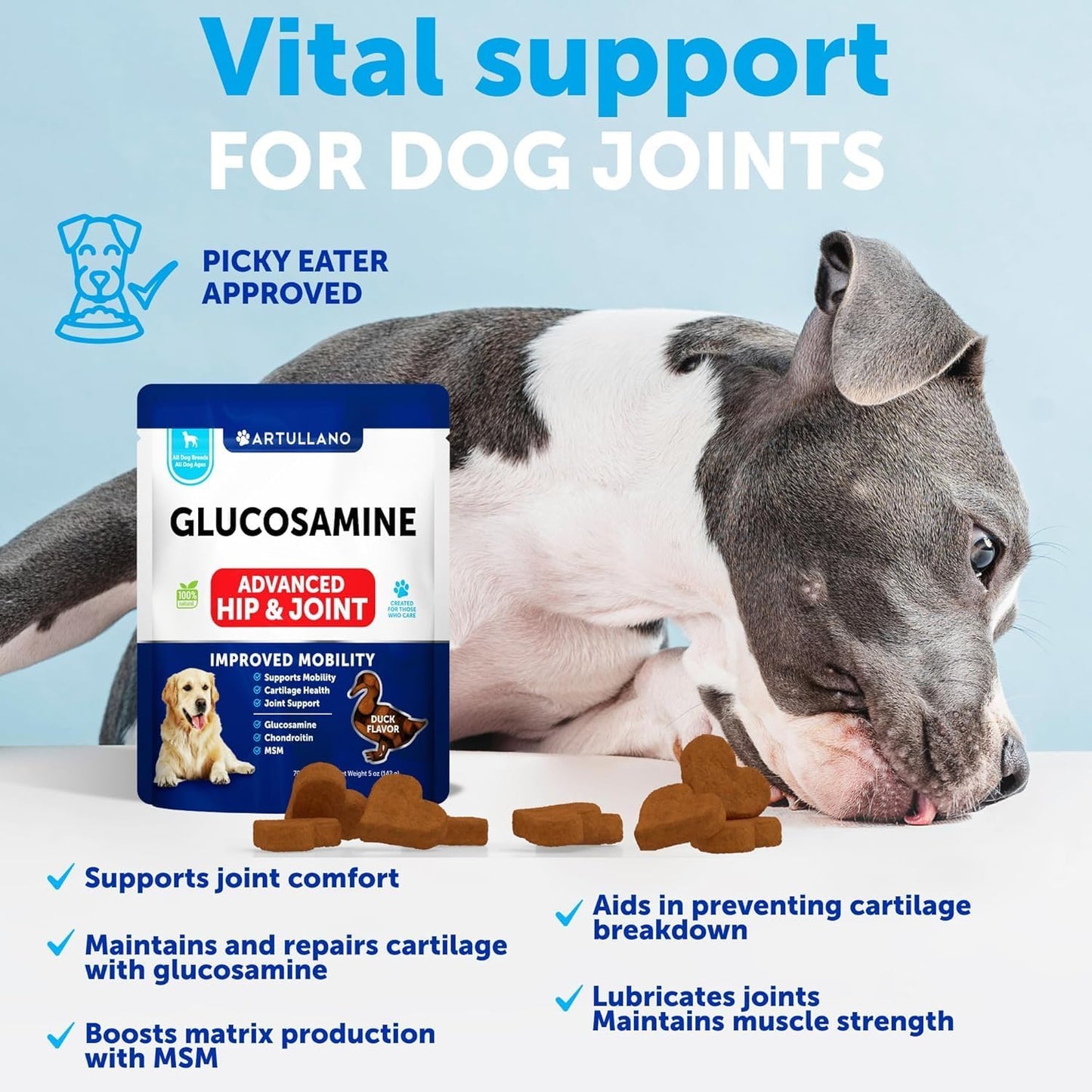 Glucosamine for Dogs Joint Pain Relief - Hemp Hip and Joint Supplement for Dogs - Chews with Chondroitin, MSM, Hemp Oil - Mobility Support - Canine Cartilage Health - 70 Soft Treats - Made in USA