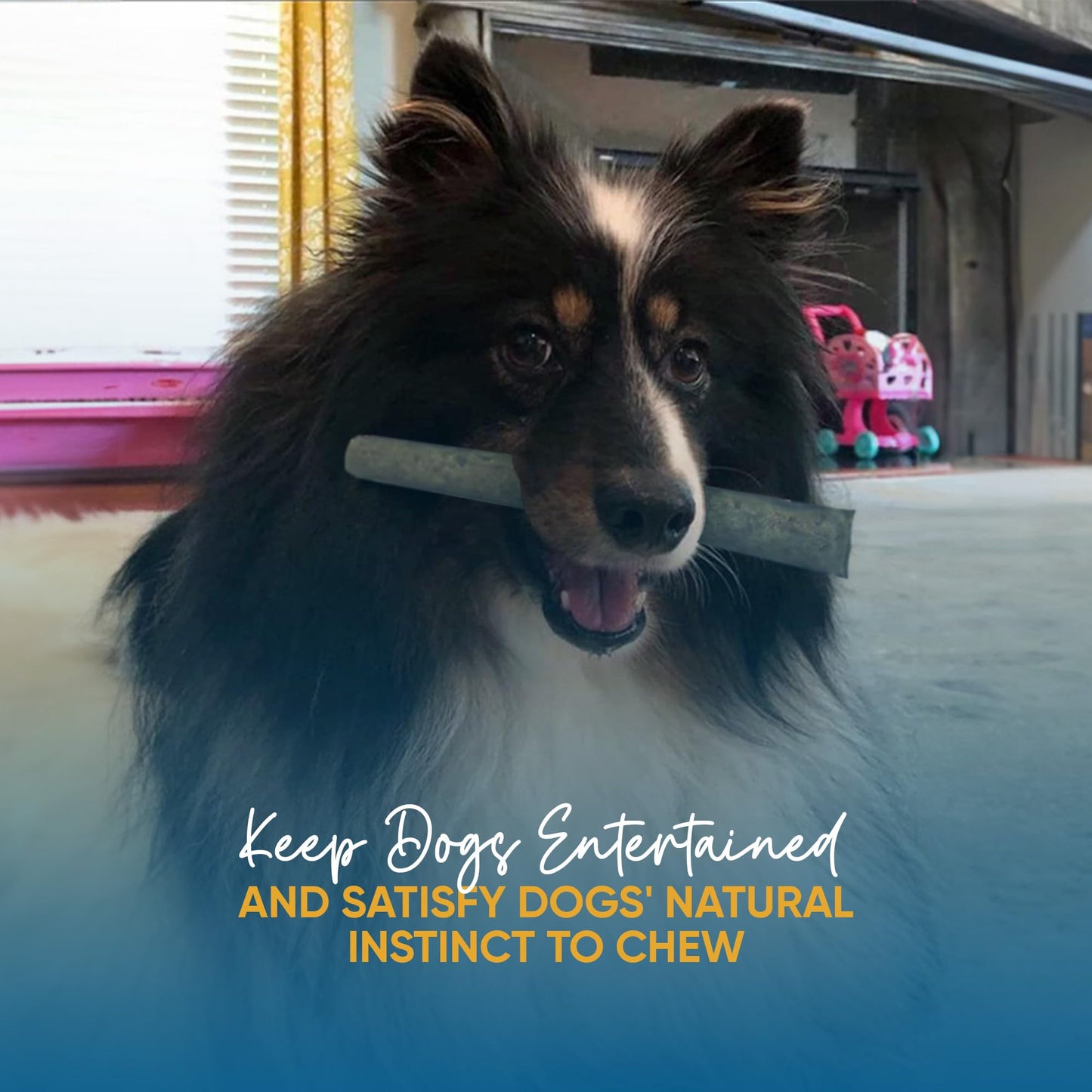 Fish Sticks Rolls for Dogs - 6 Inches (30 Count) Healthy Fish Dog Treats, Premium Chews for Dogs, Rich in Omega-3 Fatty Acids | Protein Chew with Health Benefits