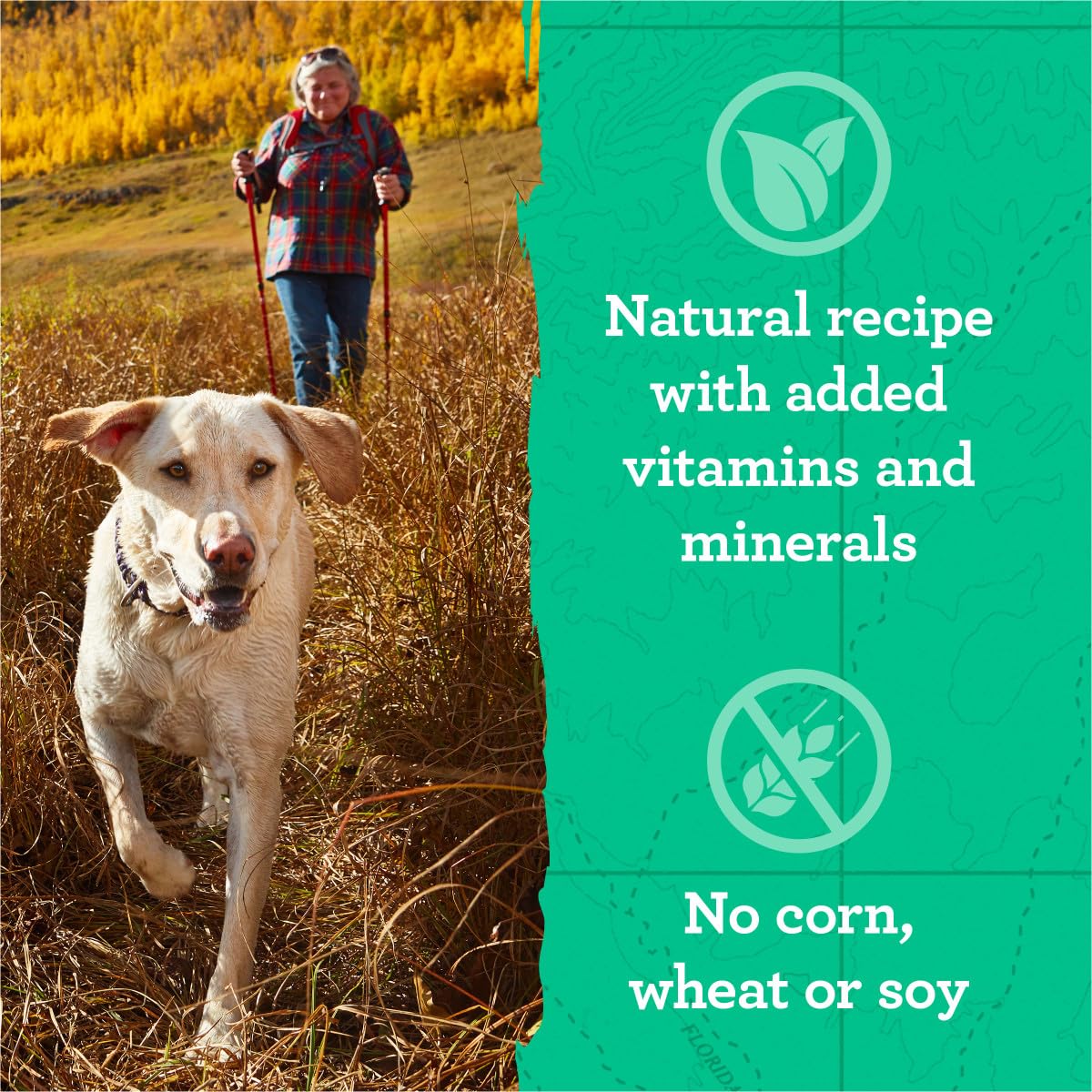 Zuke's Hip and Joint Support Dog Treats for Adult Dogs, Senior Dog Treats Made with Real Peanut Butter and Oats, 6 oz. Resealable Pouch - 6 oz. Bag