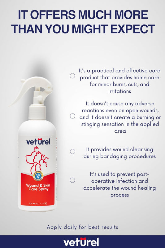 GRRR. Same great product From the Makers of Moosh – Natural Dog Shampoo with Lavender Essential Oils for Itchy Skin ,Hot Spots, and Pet Odor, Grooming Shampoo, Concentrated12 ounces