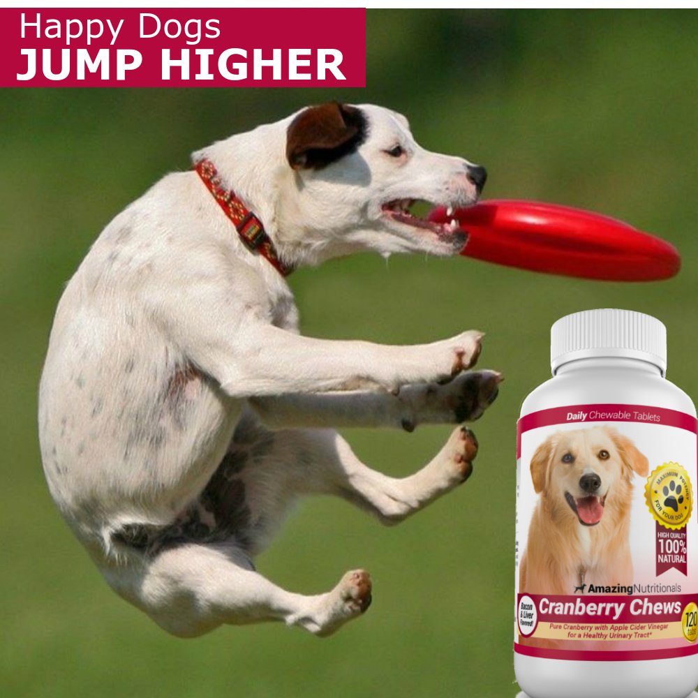 Amazing Joint Support Dog UTI Treatment Bundle - Turmeric, Cranberry Eliminates Joint Pain Inflammation and UTI Prevention