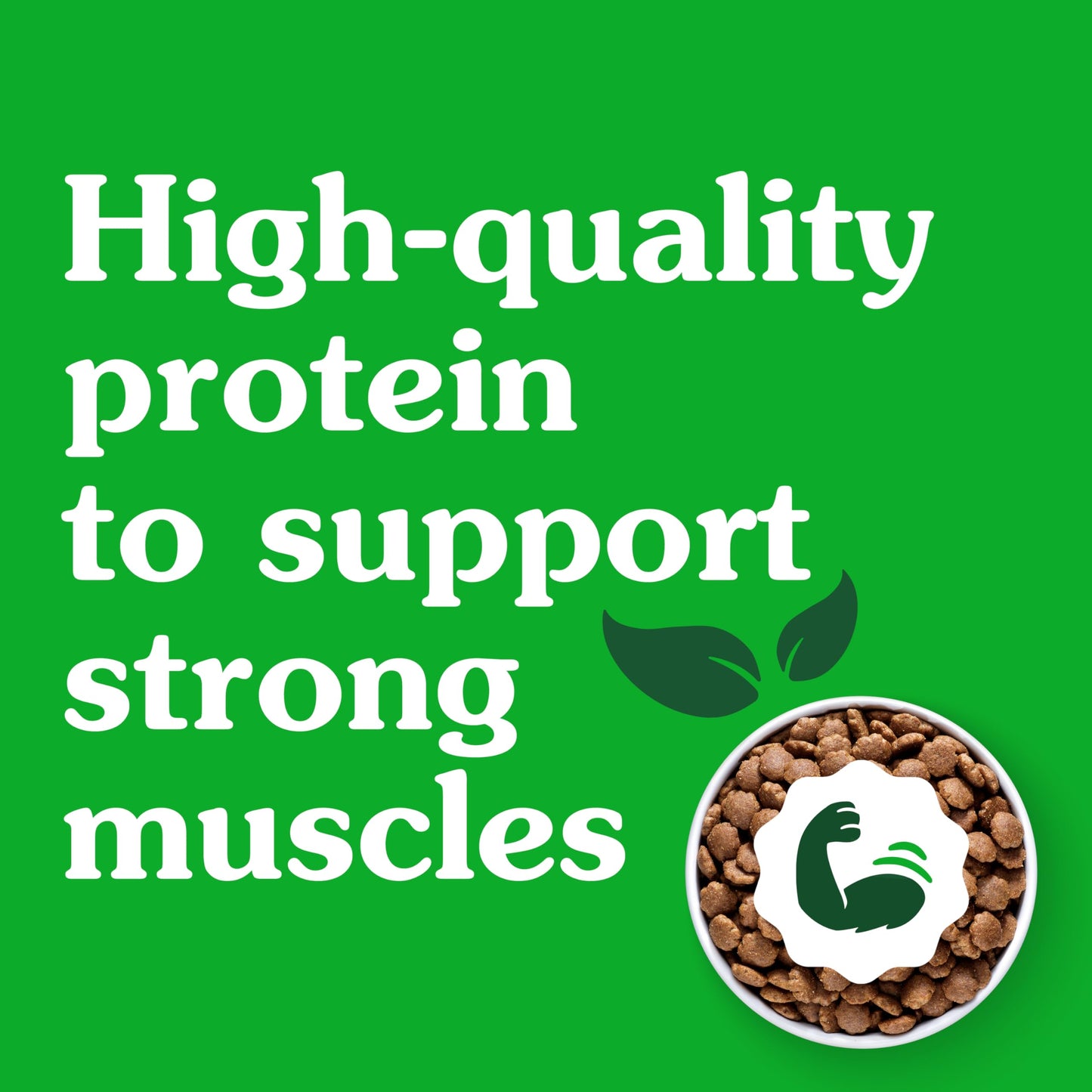 Greenies Smart Essentials Small Breed Adult High Protein Dry Dog Food Real Chicken & Rice Recipe, 5.5 lb. Bag