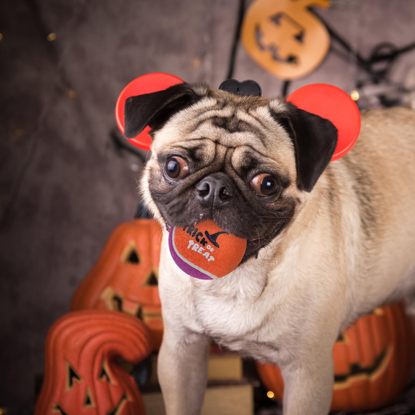 EXPAWLORER Squeaky Tennis Balls for Dogs - 12 Pcs Halloween Interactive Teething Chew Toys, Enrichment Dog Toys to Keep Them Busy, Fetch Training Balls for Large Medium Small Dogs