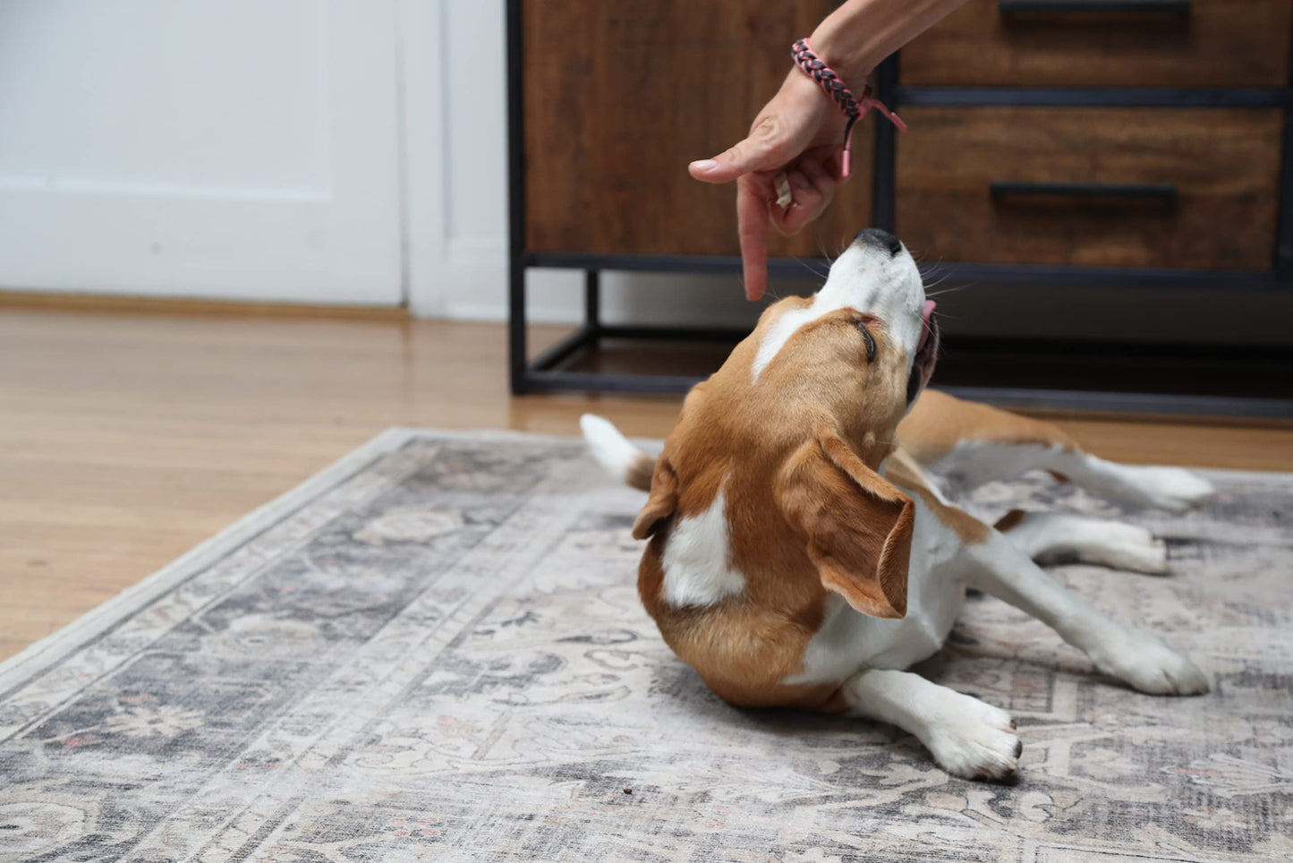 Kawell USA Natural Dog Shampoo for Dry Sensitive Itchy Skin, Hot Spots - Anti-Inflammatory, Antifungal, Anti-Shedding Grooming Shampoo with Matico Healing Properties - for Healthy Skin and Coats, 12oz