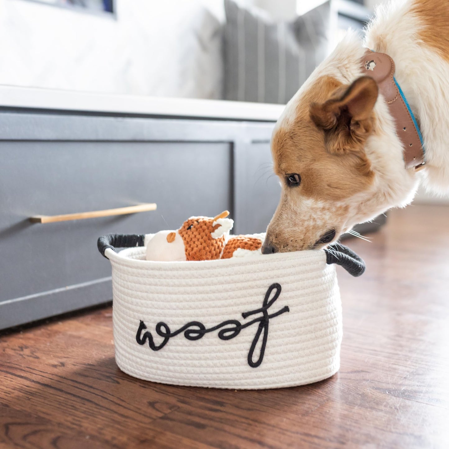 New Puppy Gift Basket - Premium Puppy Starter Kit and Dog Gift Basket with Dog Toys - Perfect Doggie Birthday Gifts and Puppy Necessities with Pet Toy Basket.