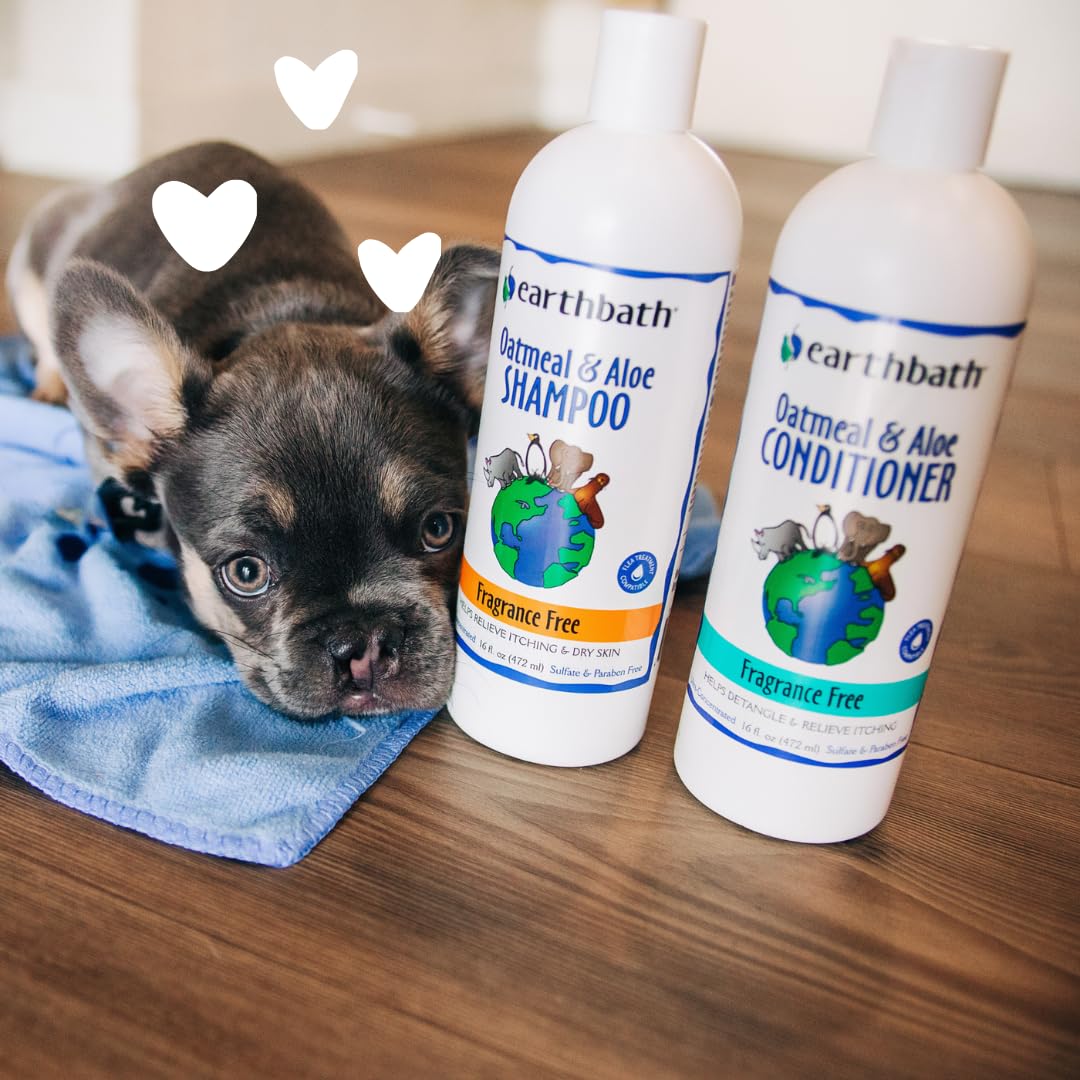 earthbath, Oatmeal & Aloe Dog Shampoo - Oatmeal Shampoo for Dogs, Itchy, Dry Skin Relief, Dog Wash, Made in USA, Cruelty Free, Fragrance Free Pet Shampoos, Natural Dog Shampoo - 16 Oz (2 Pack)