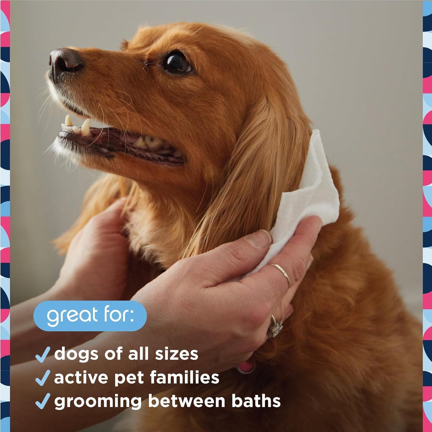 Pet Life Unlimited Dog Shampoo, Anti-Itch Spray Shampoo & Cleansing Dog Wipes, Fragrance Free (72 ct) Bundle - Pet Wipes for Dogs, Dog Cleaning Wipes - Plant-Based Dog Wipes with Moisturizing Aloe