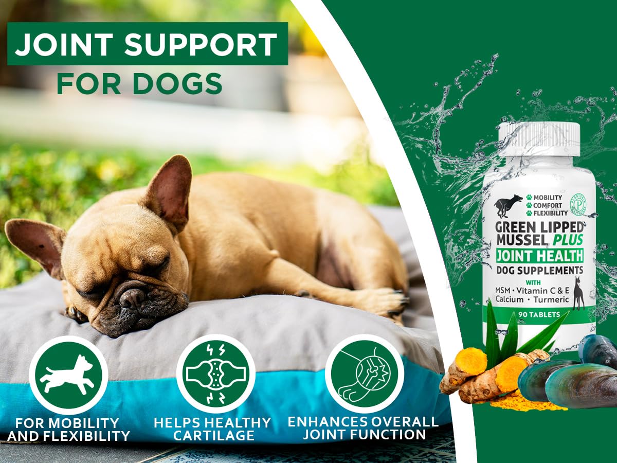 Plantonin Green Lipped Mussel for Dogs – 1325mg High Strength Hip & Joint Supplement for Dogs with Omega-3 – Supports Dog Joint Health, Mobility & Vitality – 90 Dog Joint Supplements Tablets