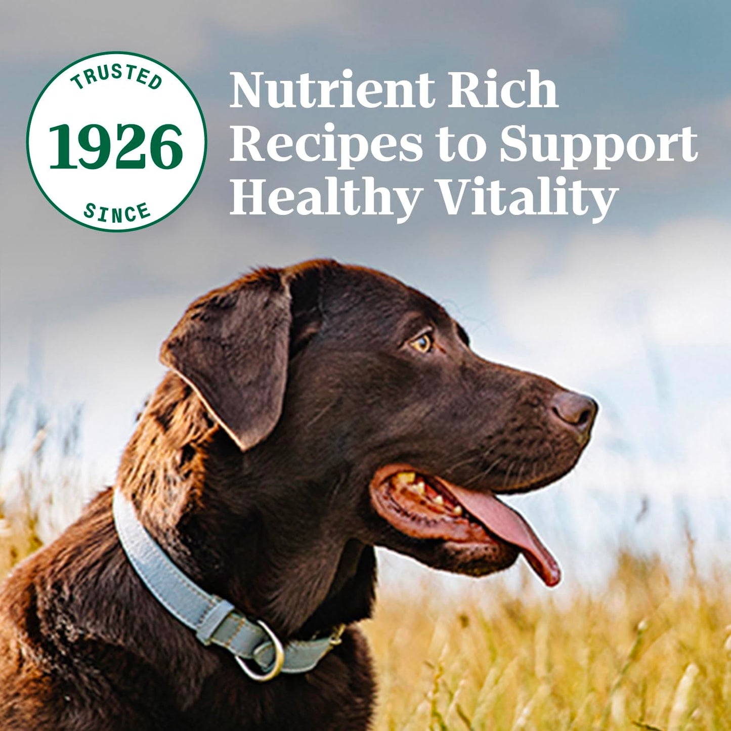 Nutro Natural Choice Adult Dry Dog Food, Chicken and Brown Rice Recipe, 5 lbs.