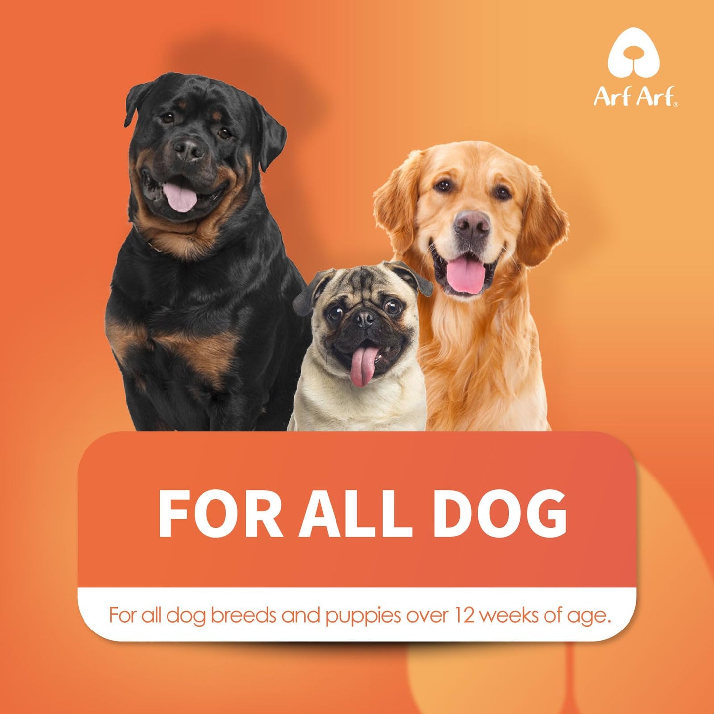 Arf Arf Dog Shampoo Softening Formula, Soften & Fluffy Oatmeal 16oz—Plant-Based 4-in-1: Cleans, Conditions, detangles, moisturizes. Oatmeal & Honey Soothe Itchy Skin. Hypoallergenic. Made in Taiwan.