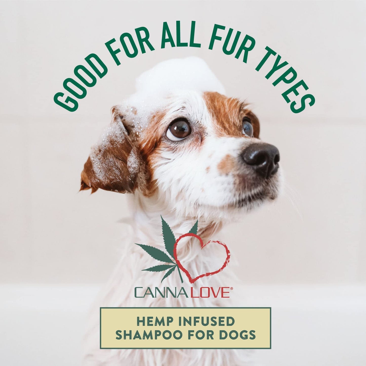 PetFX CannaLove Anti-Shedding/Detangling Shampoo