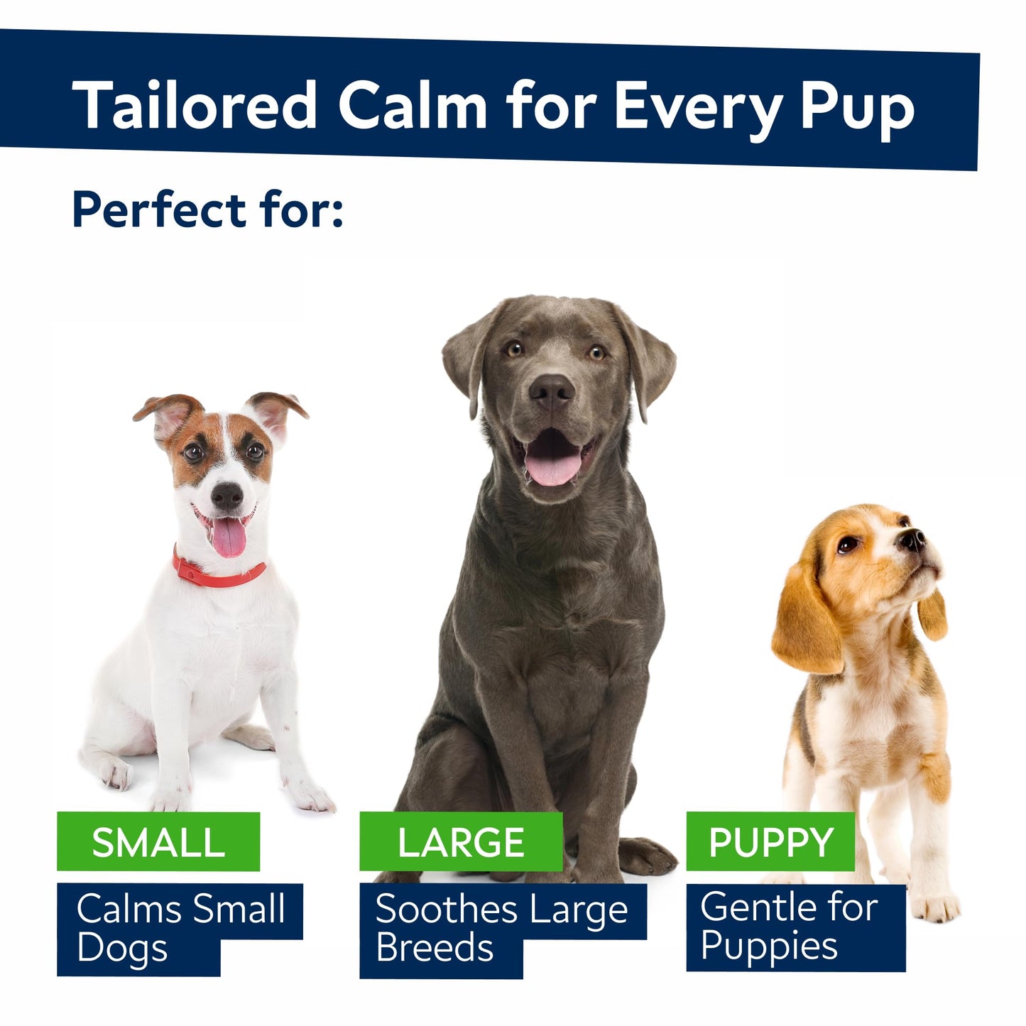 StrellaLab Salmon Oil 32 Oz + Hemp Calming Chews Bundle – Omega 3 for Skin, Coat & Itch Relief + Melatonin & Hemp for Anxiety – EPA & DHA – Made in USA