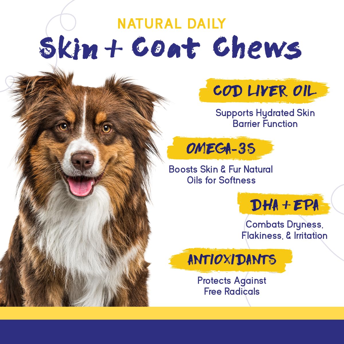 PupGrade 2-Pack Skin & Coat and Calming Chews for Dogs - Coat Care & Allergy Defense Supplement with Natural Fish Oils - Natural Muscle Relaxant - 120 Chews