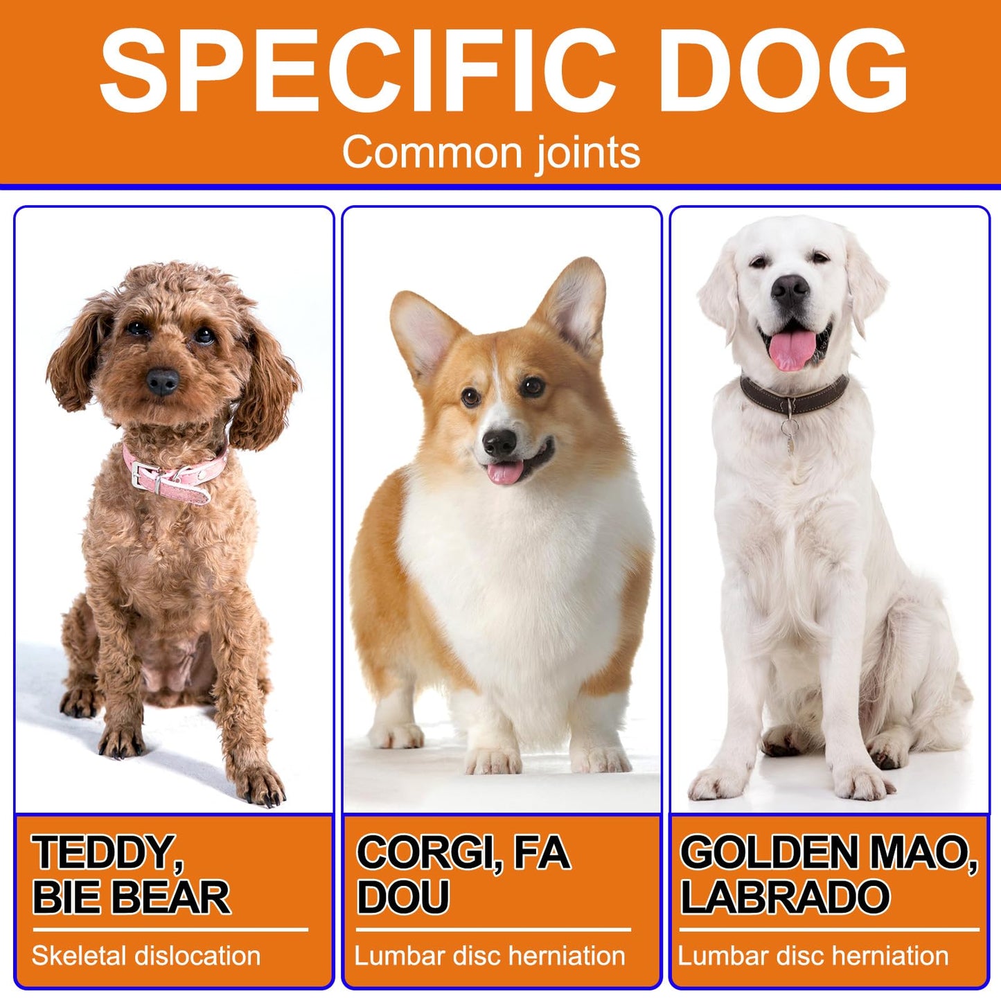 Hip and Joint Supplements Chews for Dogs, 30PCS Hip & Joint Care Tablets with Glucosamine, Chondroitin, Green-Lipped Mussels and Vitamins for Dog Joint Care (Duck Flavor)