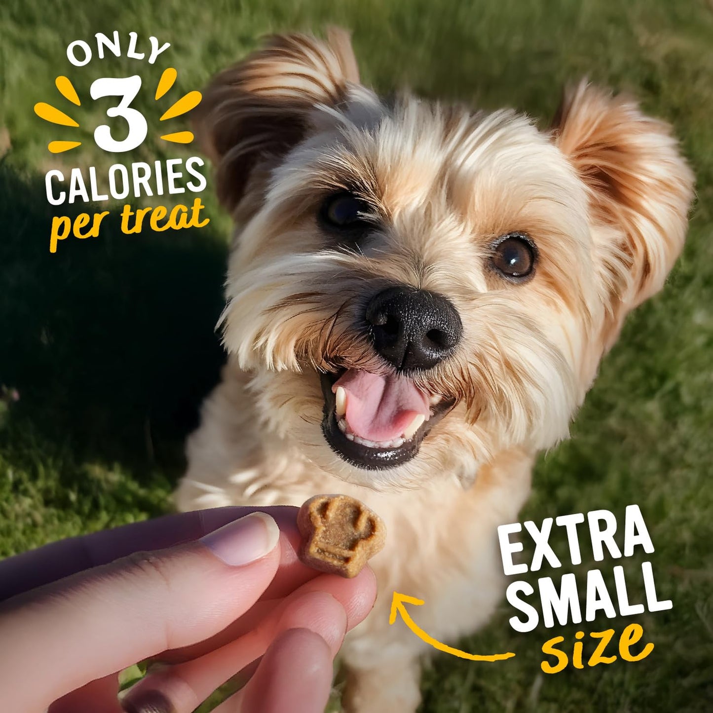 Blue Dog Bakery Perfect Trainers Treat | Small, Soft & Chewy Beef Flavor | Natural Healthy Dog Treats, 6 oz (Pack of 1)