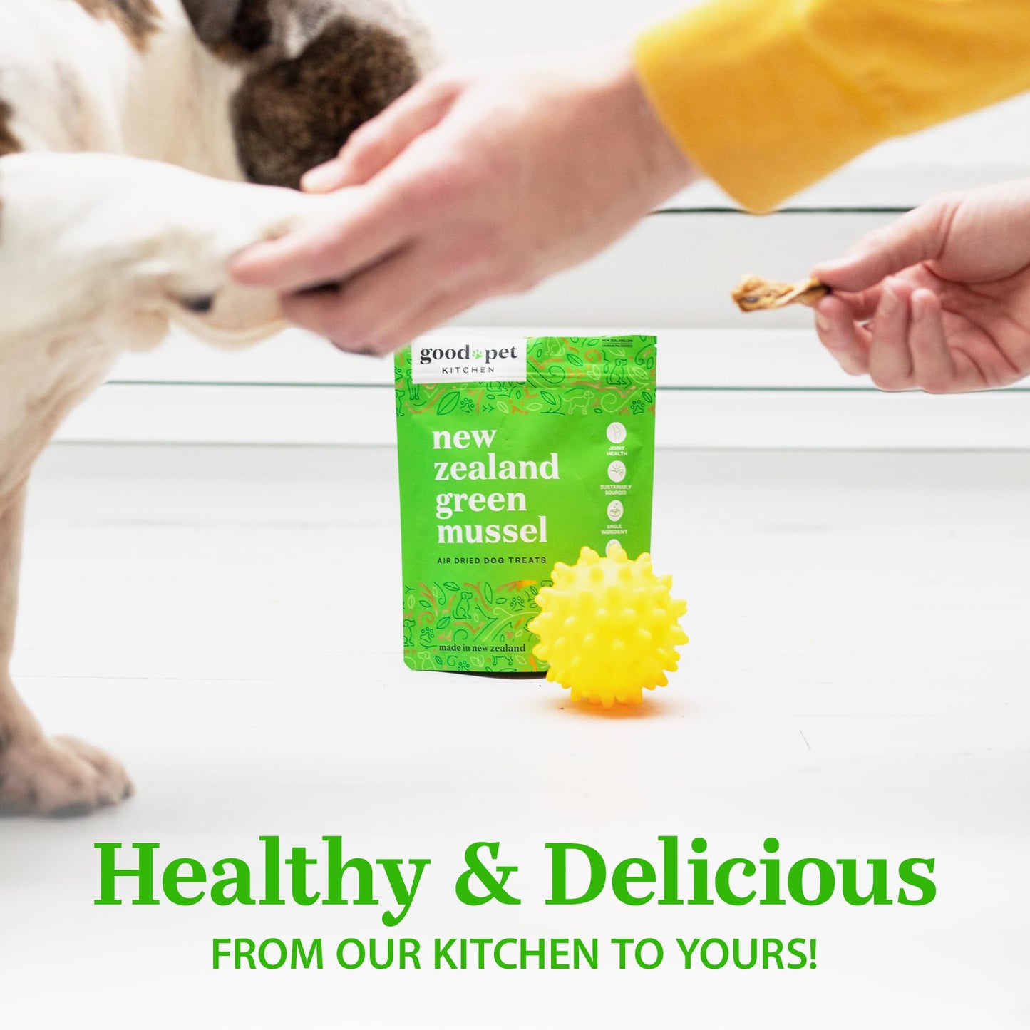 Good Pet Kitchen Pet Treats, Air-Dried, Natural, Single Ingredient Dog Treat, Grain Free, Sustainably Sourced Dog Treats, Toppers, Snacks, New Zealand Green Mussels 1.7 oz