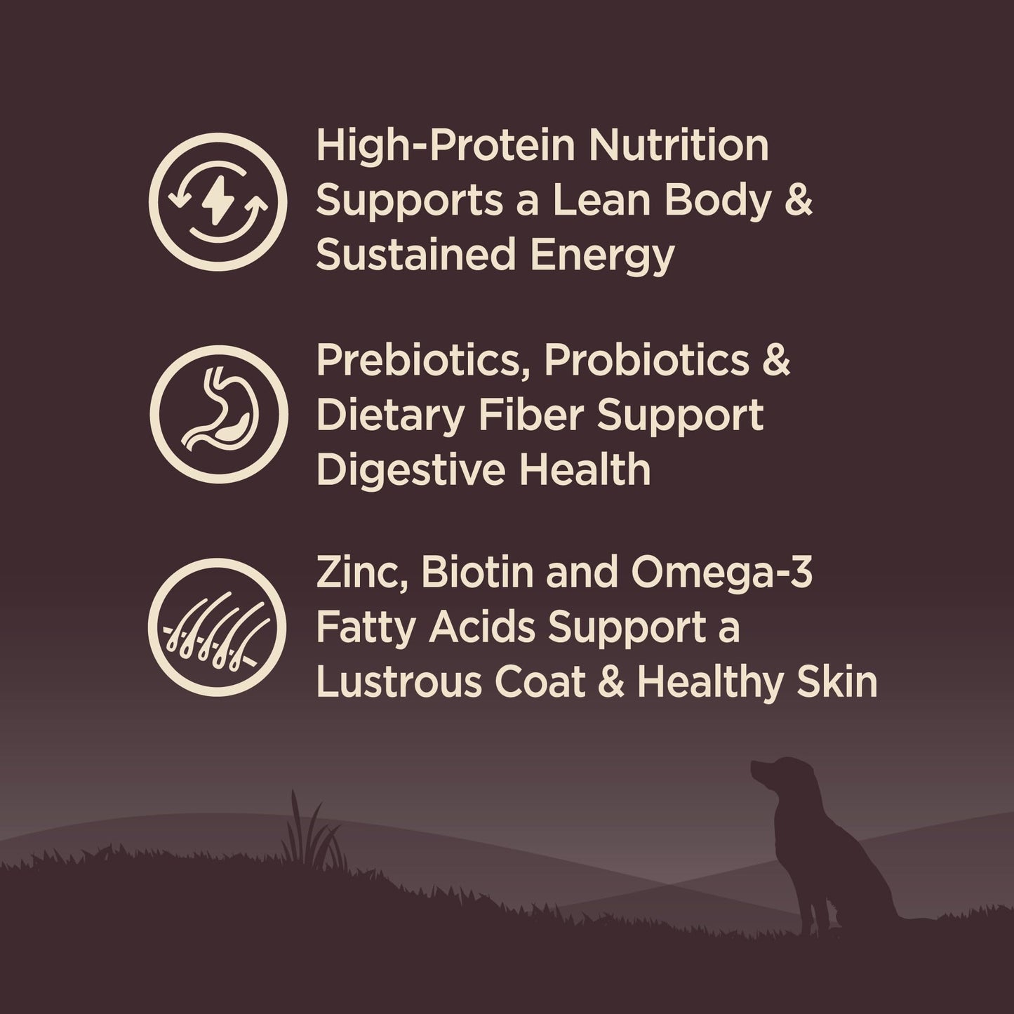 Wellness CORE Grain-Free High-Protein Dry Dog Food, Natural Ingredients, Made in USA with Real Meat, All Breeds, For Adult Dogs (Original Turkey & Chicken, 4-Pound Bag)