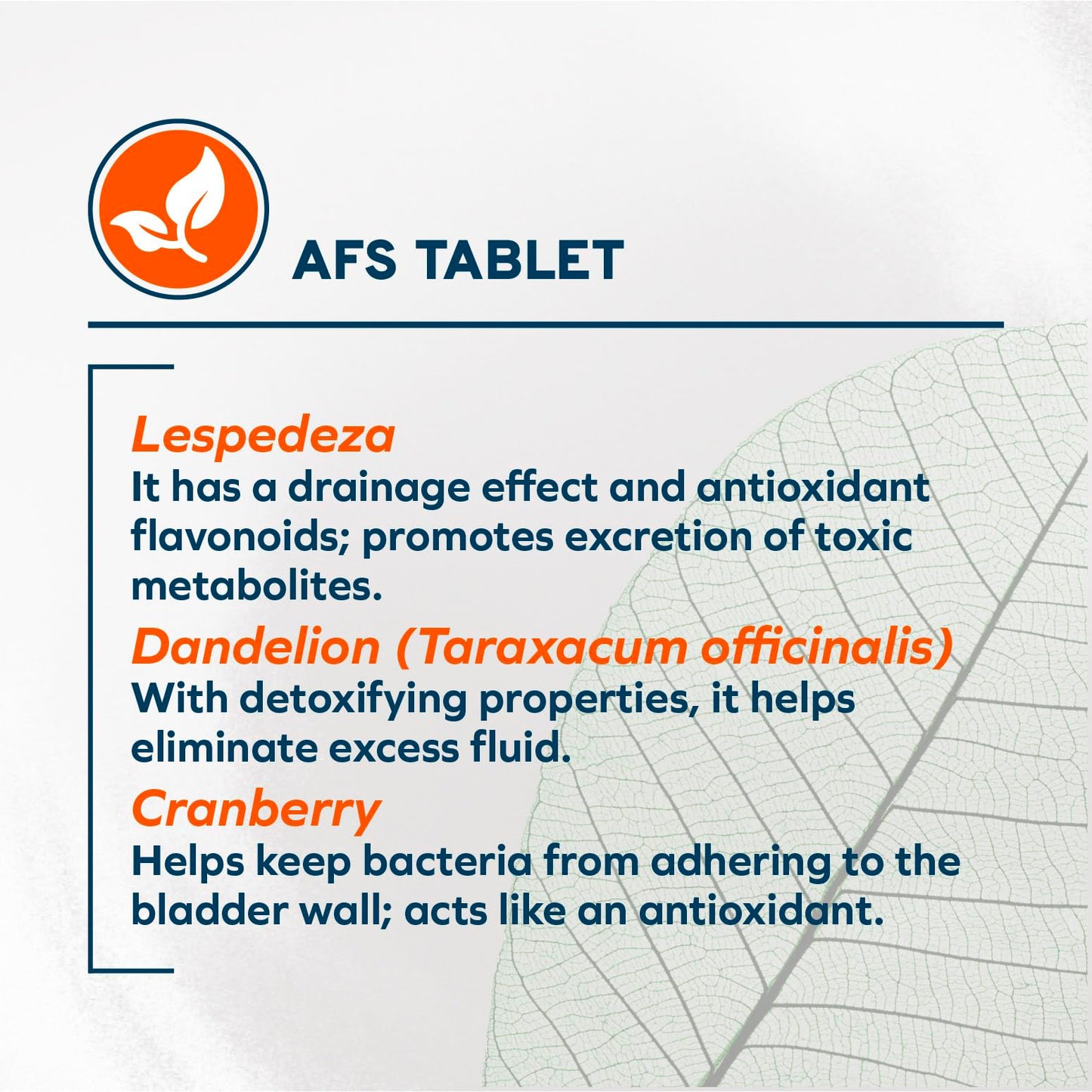 Green Lipped Mussel & Gut Health for Dogs of All Ages & Breeds