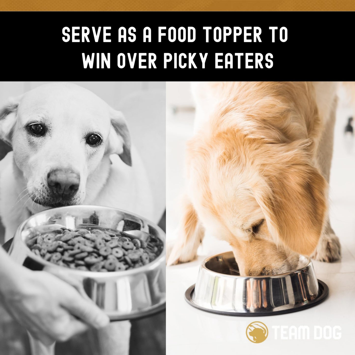 Team Dog Lamb & Salmon Dog Freeze-Dried Raw Treats | Soft Dog Treats & Grain Free Dog Food Topper | USA-Sourced Salmon & Lamb for Cleaner Teeth, Digestive Health & Muscle Growth | 13 oz Bulk Size