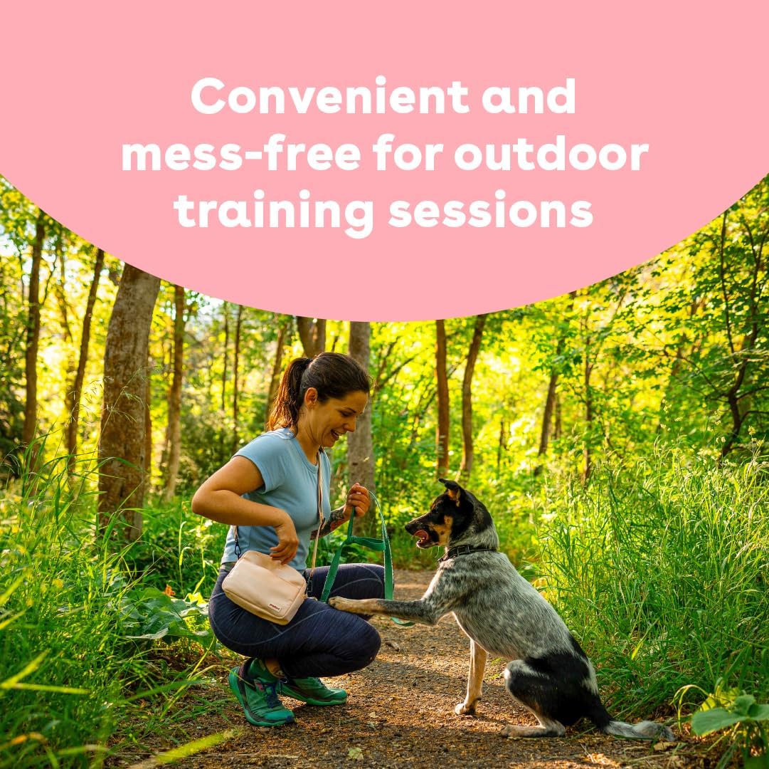 Cloud Star Buddy Biscuits Softies 5 oz Pouch, Grain-Free Soft & Chewy, Natural Grilled Beef Flavor Dog Treats, Oven Baked in The USA (Pack of 2)