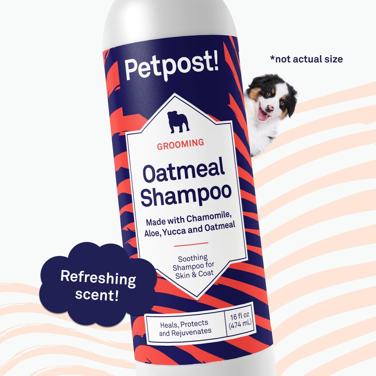 Petpost | Oatmeal & Chamomile Dog Shampoo. Soothes Dry, Sensitive Skin, Moisturizes & Softens Coat with Aloe & Yucca. 16 oz