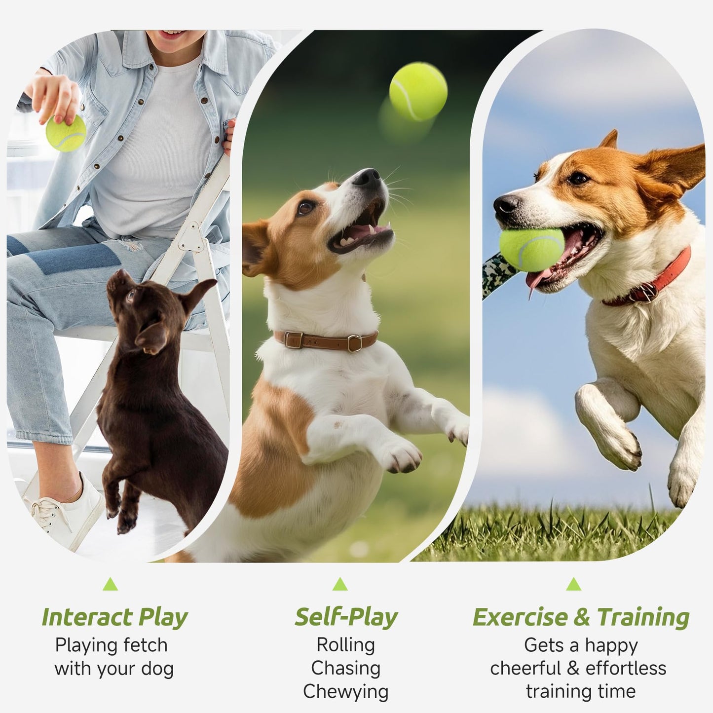 susu & wuwu 12 Pack Mini Tennis Balls for Small Dogs, 2 Inch Small Tennis Balls for Dog Interactive Playing Fetching Training, Puppy Toys to Keep Them Busy
