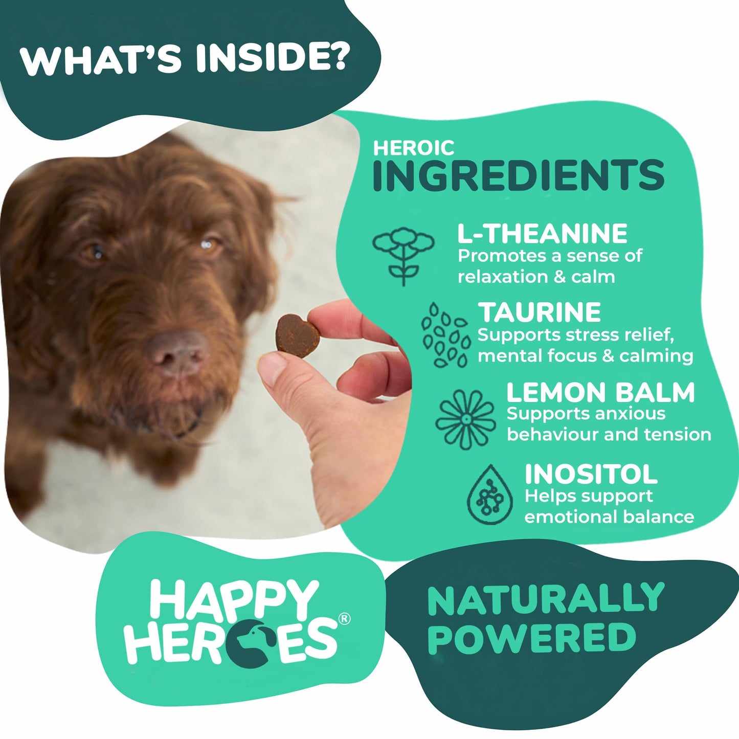 Happy Heroes - Clever Calming Chews for Dogs, 100% Natural Dog Supplement, For Anxiety Relief, Helps Stress, Fear, Hyperactivity, Reactivity, Beef Flavor Calming Dog Treats, Made in USA, 60 Soft Chews