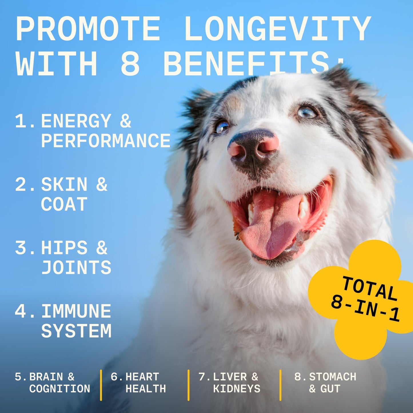 Pawgress 8-in-1 Dog Multivitamin – 100% Natural Supplement Powder with Colostrum for Healthy Skin, Joints & Energy – Crafted by Dog Nutritionist Kayla Kowalski, Made in USA – 30 Scoops