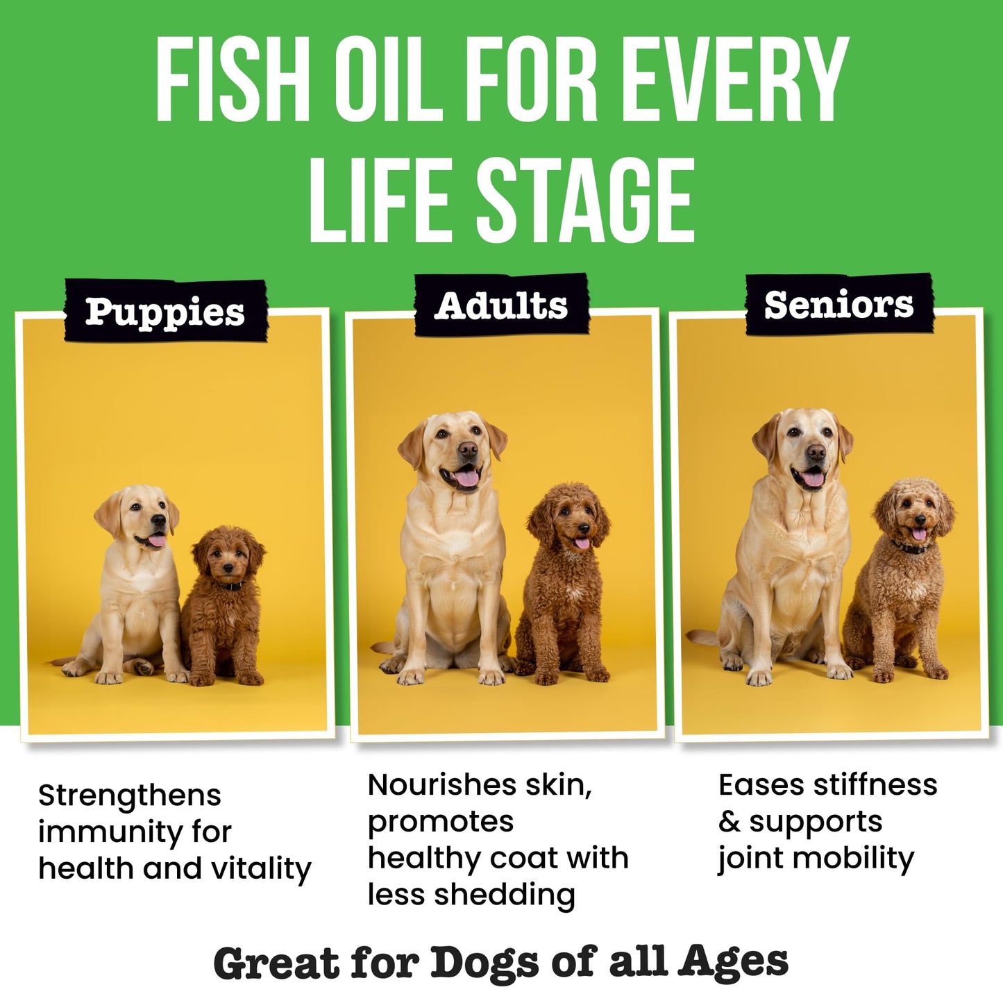 Advanced Dog Probiotics + Omega 3 Fish Oil for Dogs & Cats Bundle - Liquid Fish Oil Supplement - Diarrhea, Gas, Upset Stomach Relief & Season Allergy - Made in USA