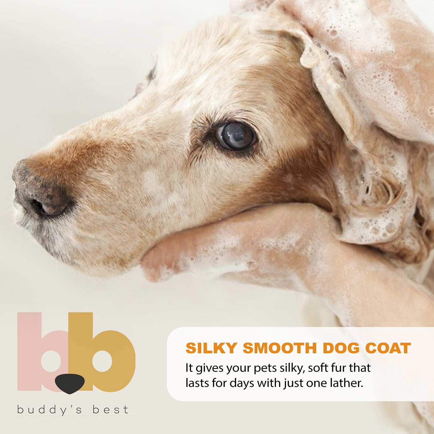 Buddy's Best Dog Shampoo for Smelly Dogs - Dog Shampoo and Conditioner for Dry and Sensitive Skin - Moisturizing Puppy Wash Shampoo, Ripe Melon Scent, 16oz