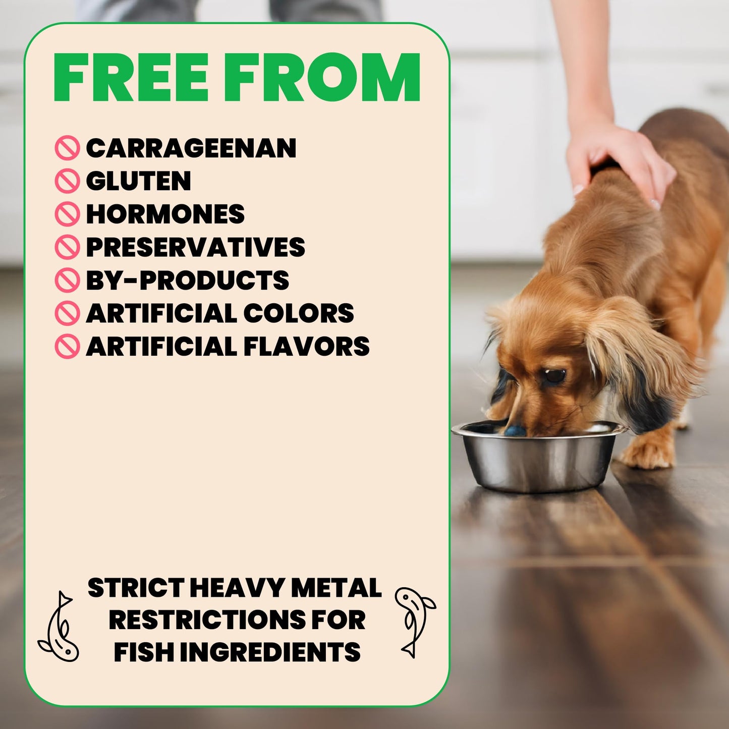 almo nature HQS Natural Wet Dog Food Chicken Fillet Entrée, Grain Free, Additive Free, Low Fat, GMO Free, 5.5oz Pack of 12