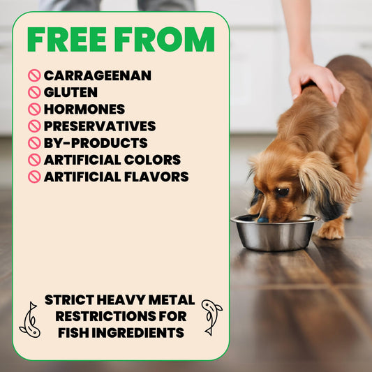 almo nature HQS Natural Wet Dog Food Chicken Fillet Entrée, Grain Free, Additive Free, Low Fat, GMO Free, 5.5oz Pack of 12