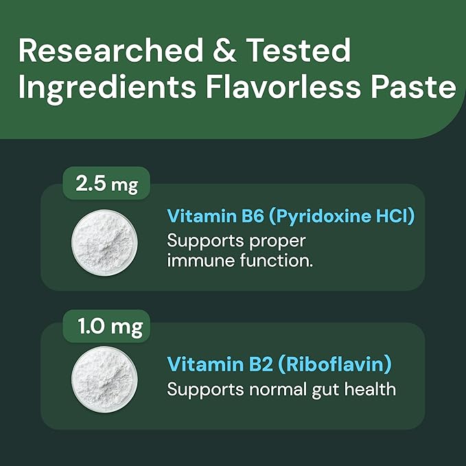 VetriScience Quick Action Diarrhea Aid Paste - Occasional Diarrhea Support for Pets - Probiotic Formula for Nervous Guts - Digestive Support Supplement - Unflavored - 60 cc