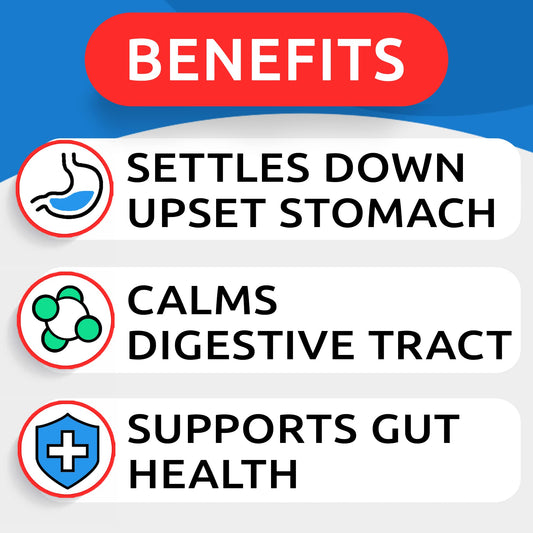 Pumpkin for Dogs - 16.2oz Powdered Fiber Supplement and Stool Softener - Treat Diarrhea, Constipation, Upset Stomach, Food Sensitivity - Improve Digestion - Made in USA