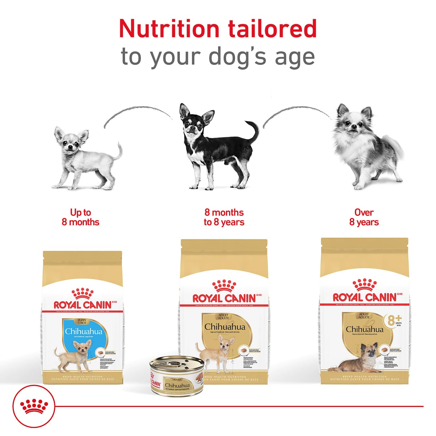Royal Canin Breed Health Nutrition Chihuahua Puppy Dry Dog Food, 2.5 lb Bag