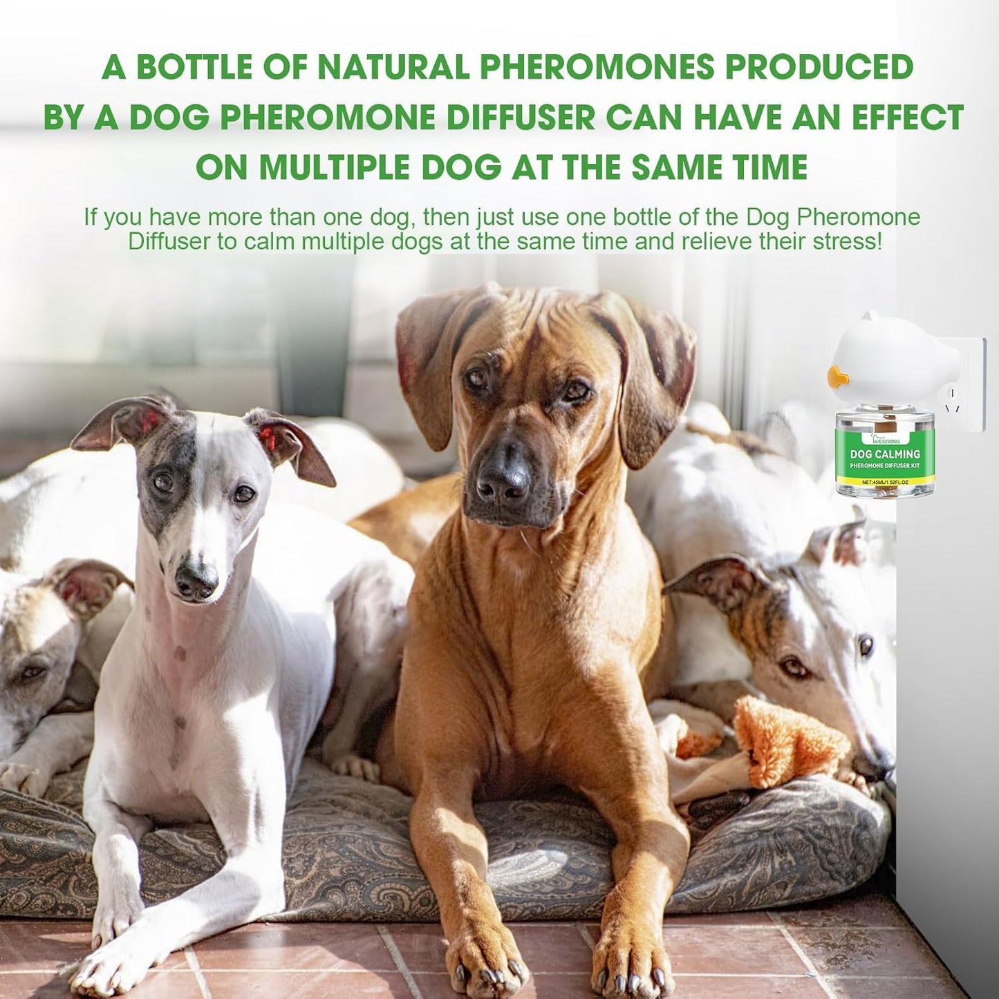 Nodfens Dog Calming Diffuser Pheromone Dog Peeing Diffuser, 1 Plug in+ 1 Pack 45ml Trial Pack Dog Anxiety Relief Up to 30 Days