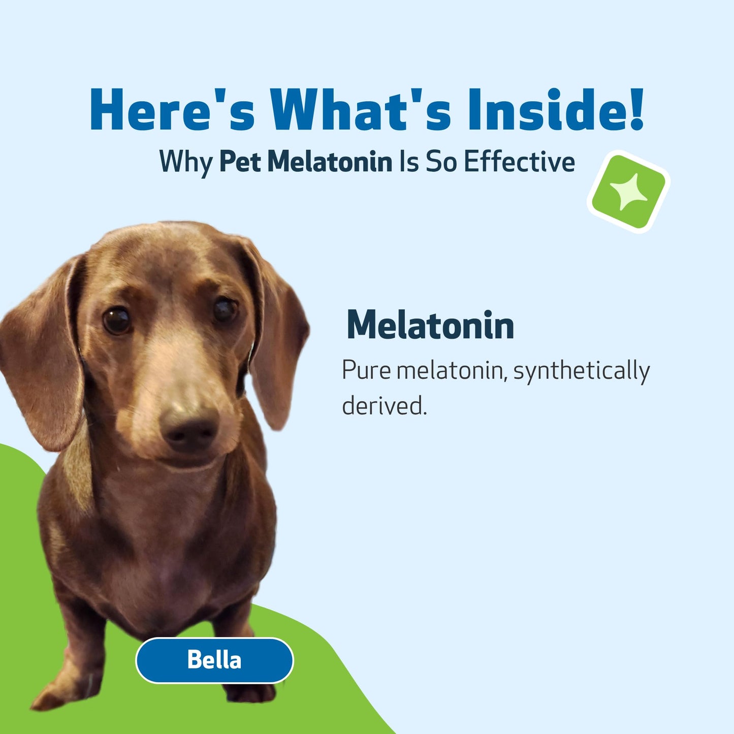Pet Wellbeing Pet Melatonin for Dogs - Supports Adrenal Health, Cortisol Balance, Helps Maintain Normal Sleep Patterns - Veterinarian-Formulated Liquid Supplement 2 fl oz (59 ml)