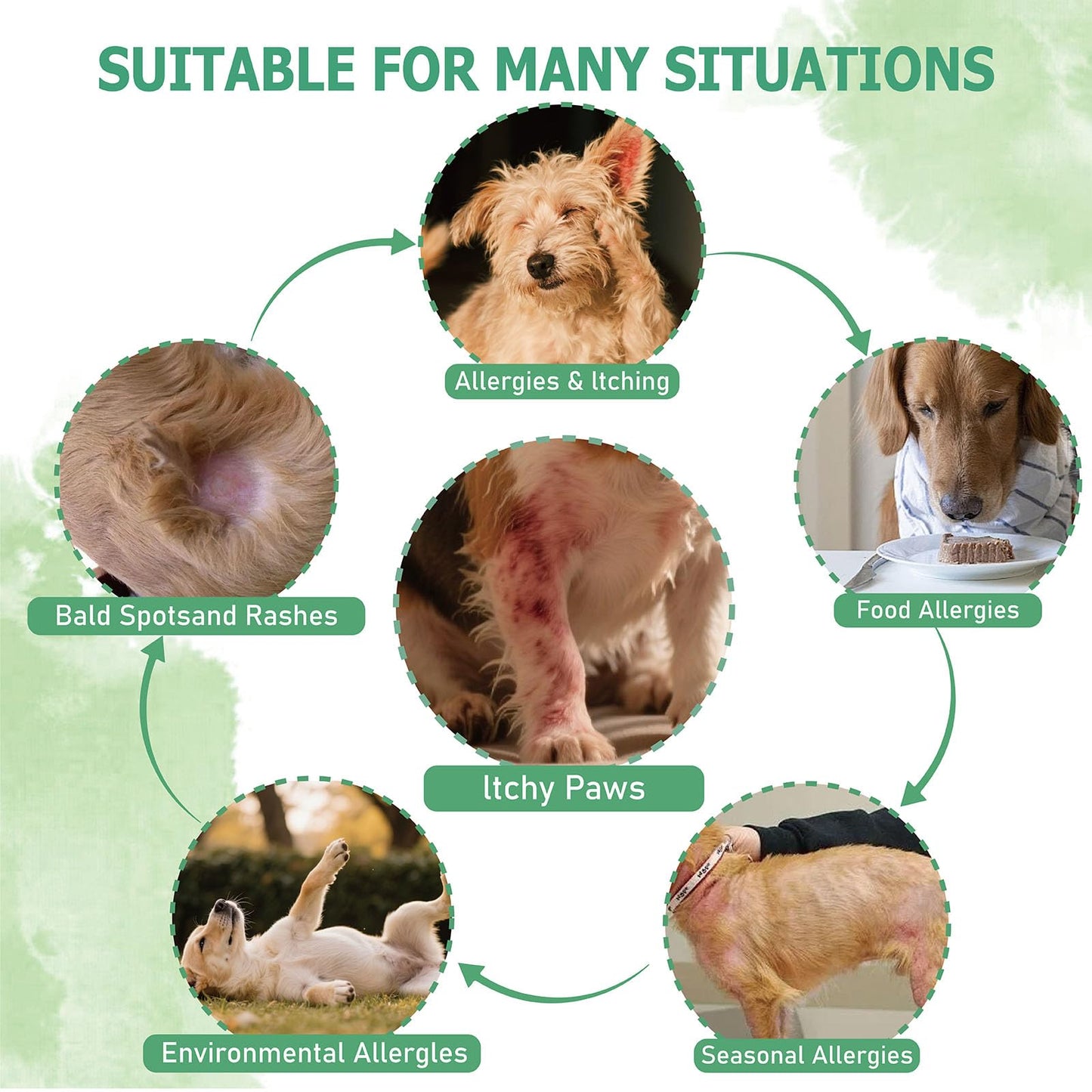 Nutridog Allergy Powder for Dogs, 90g Salmon Flavor - Itch Relief & Immune Support with Probiotics, Quercetin & Salmon Oil | Vet-Approved Formula for Seasonal Allergies & Sensitive Skin (Salmon)