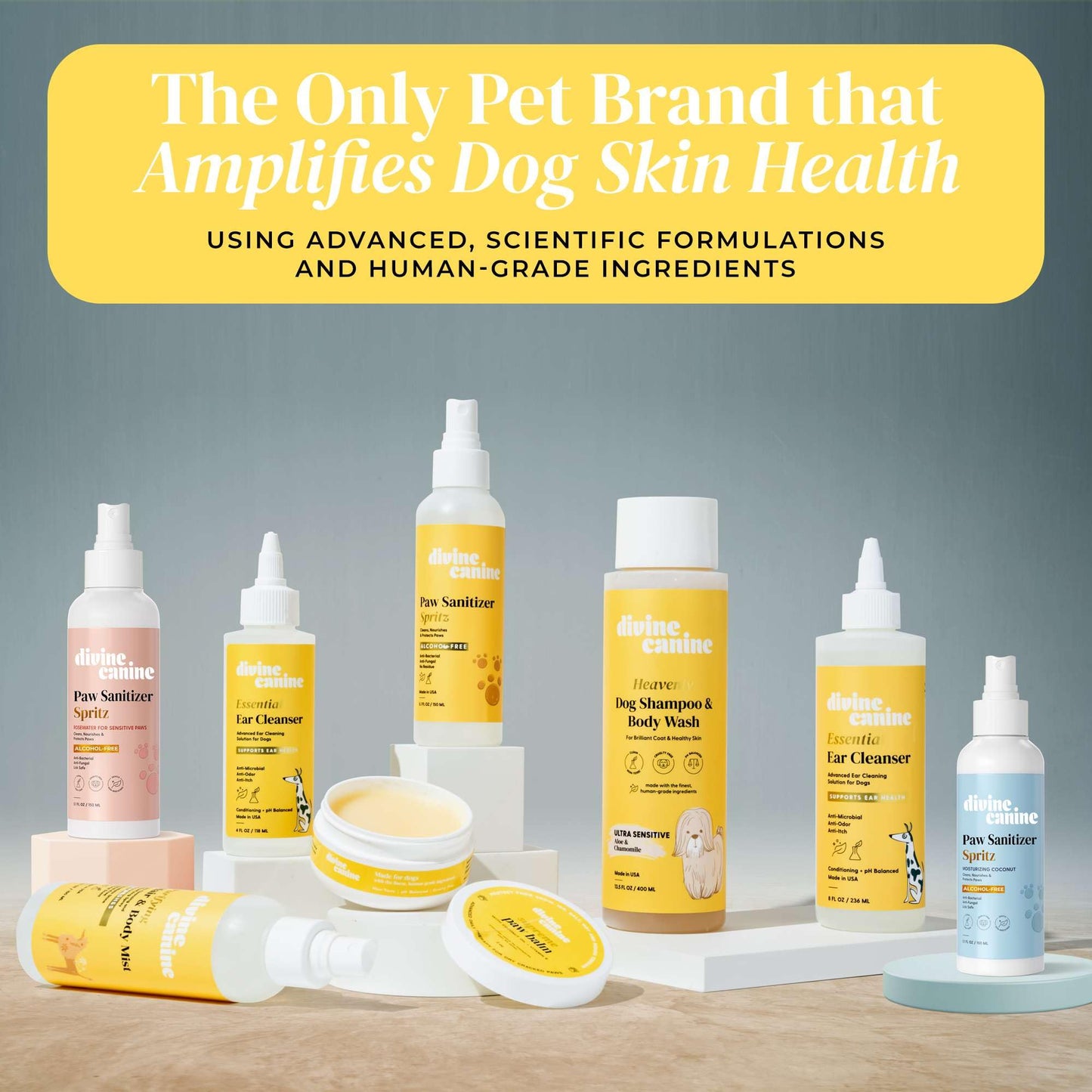 Divine Canine Heavenly Dog Shampoo & Body Wash - Anti-Itch - Dog Shampoos - pH Balanced Conditioning Dog Bath Blend with Collagen, Aloe, Coconut Milk, Vitamin E - Soothe Itchy Skin & Coat - 13.5oz