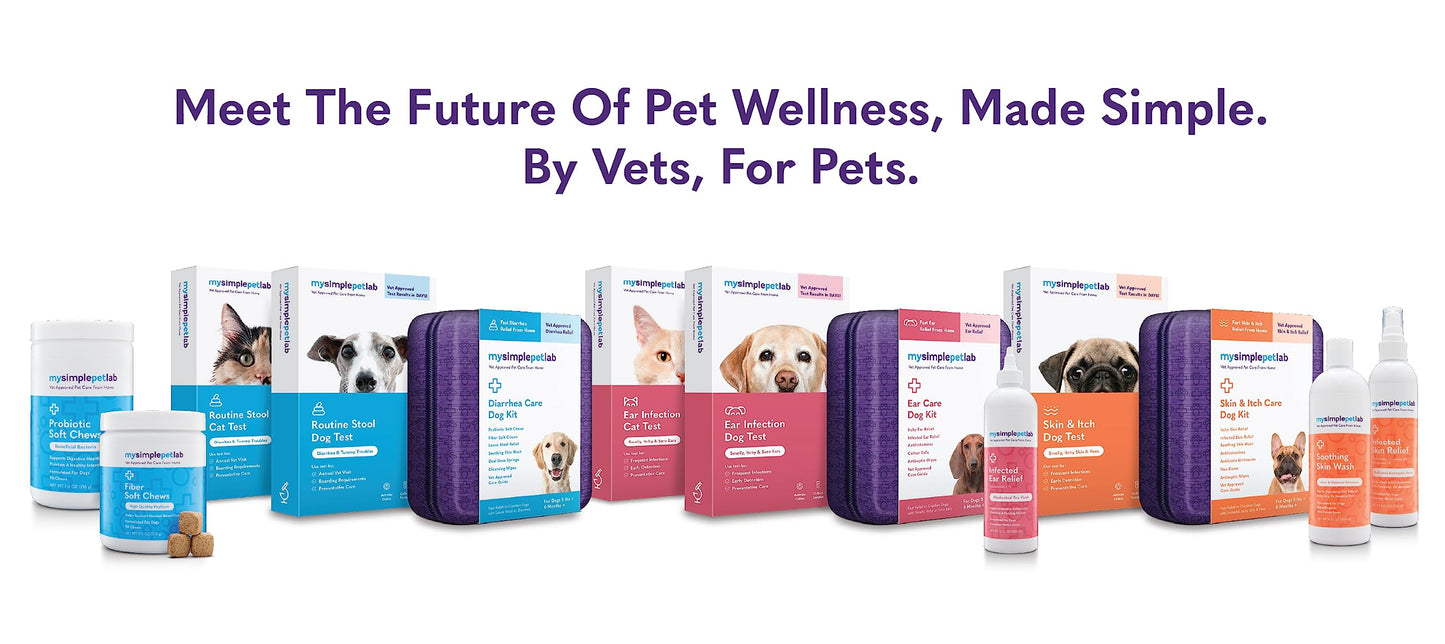 MySimplePetLab Soothing Skin Wash, Dog Shampoo for Itching, Relief for Itchy, Dry, Sensitive Skin, Gentle Formula, Moisturizes, Aloe and Oatmeal, Pina Colada Scent