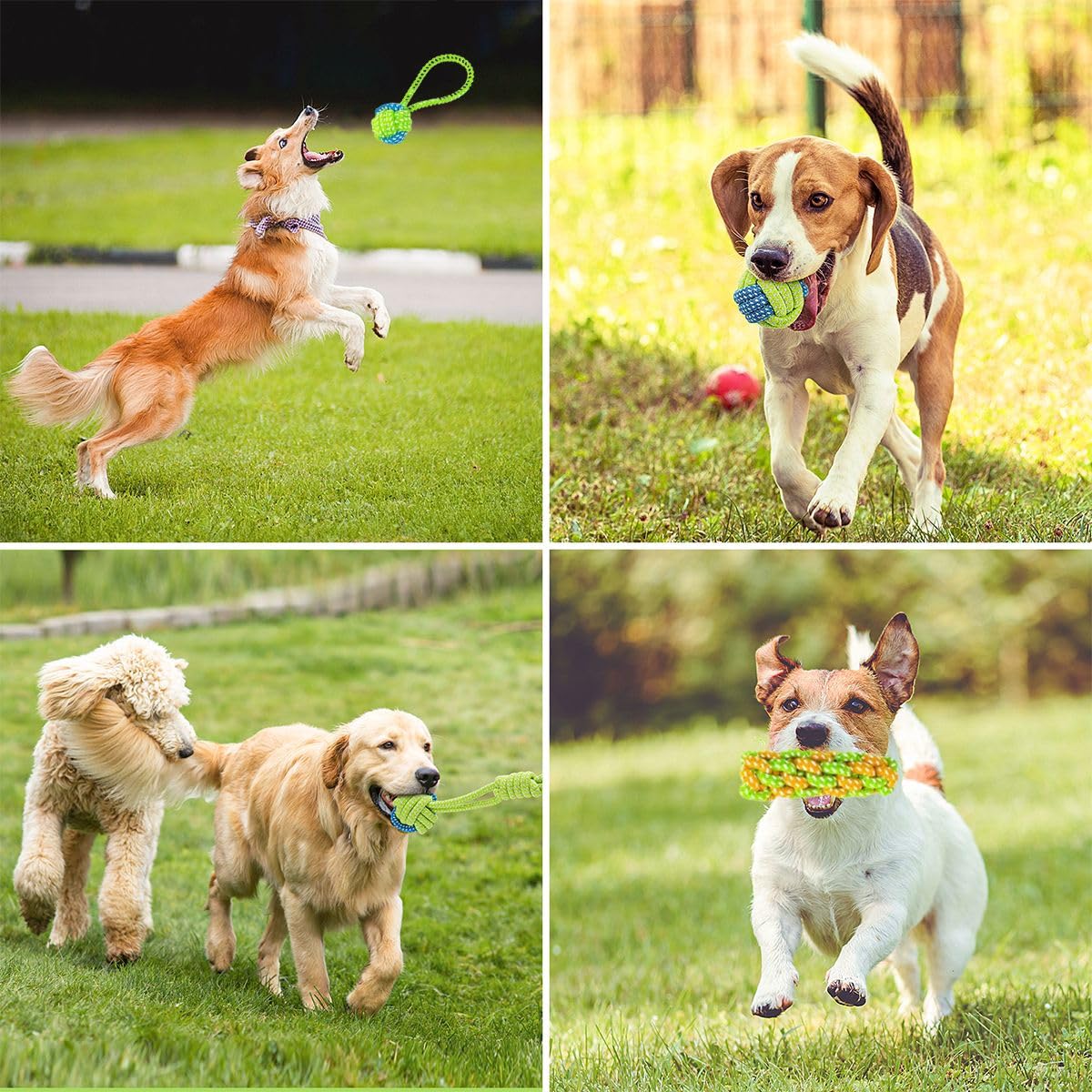 Bambinom Puppy Chew Toys, 12 Pack Puppy Teething Toys for Small Breed