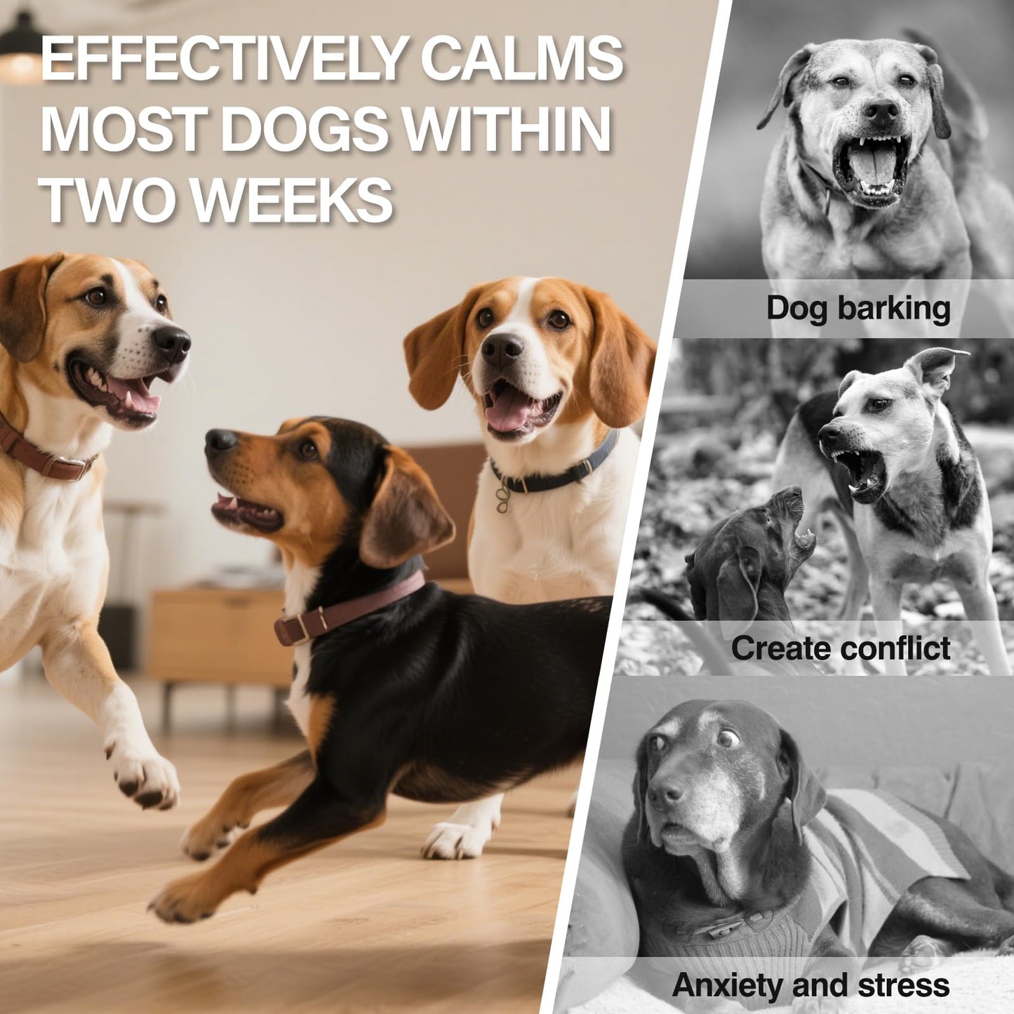 Dog Calming Pheromones Diffuser 4 in 1 Appeasing Relaxing Diffuser with Timing Function Pet Kit (2 Plug in +2 Refill 48ml) for Anxiety Relief Reduce Aggression Barking Fighting Stress (Tasteless)