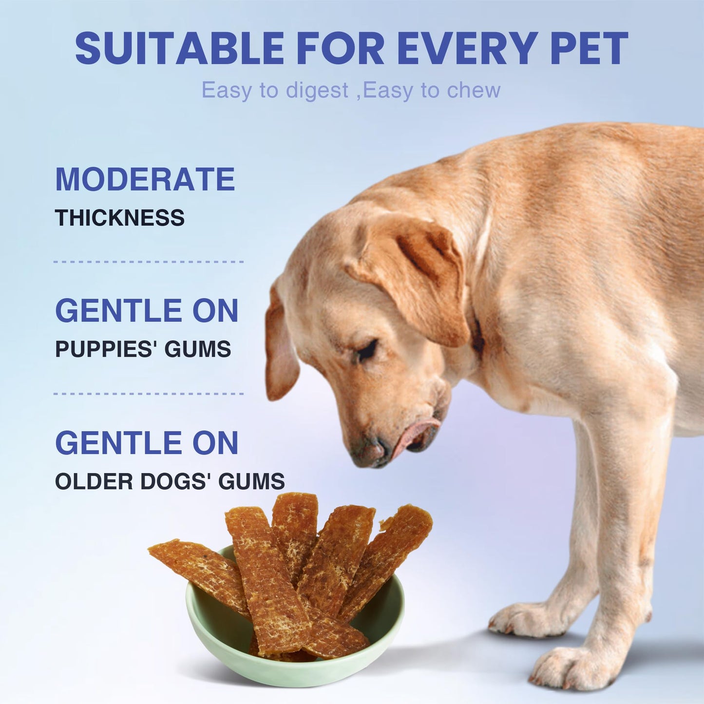 LISPOO Likable Human Grade Pet Snacks and Natural Ingredients-Premium Pet Treats Delicious and Healthy Chicken Jerky Snacks-Best Chews for Training Small & Large Dogs - Bulk Dog Treats