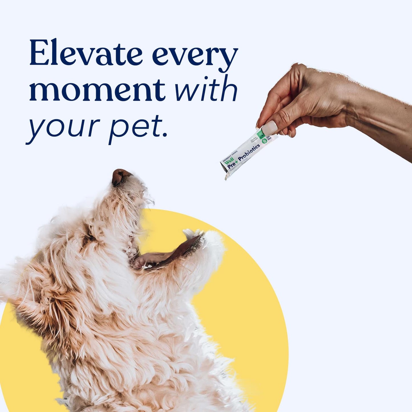 Addiction Wild Kangaroo & Apples Dry Dog Food - Limited Ingredient, Novel Protein for Dogs with Allergies, Grain-Free - Support Muscle Development & Manage Weight - Made in New Zealand 20lb