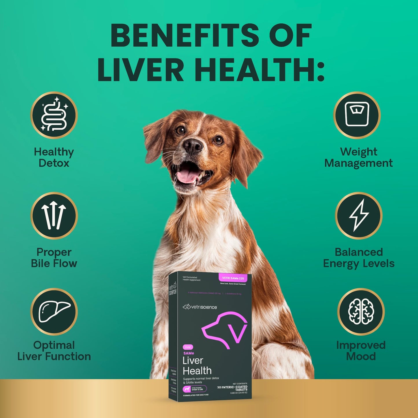 VetriScience SAMe Liver Health Tablets, 225 mg S-Adenosyl-Methionine Liver Health and Detox Supplement for Medium and Large Breed Dogs, Glutathione Antioxidant Liver Support, 30 Count