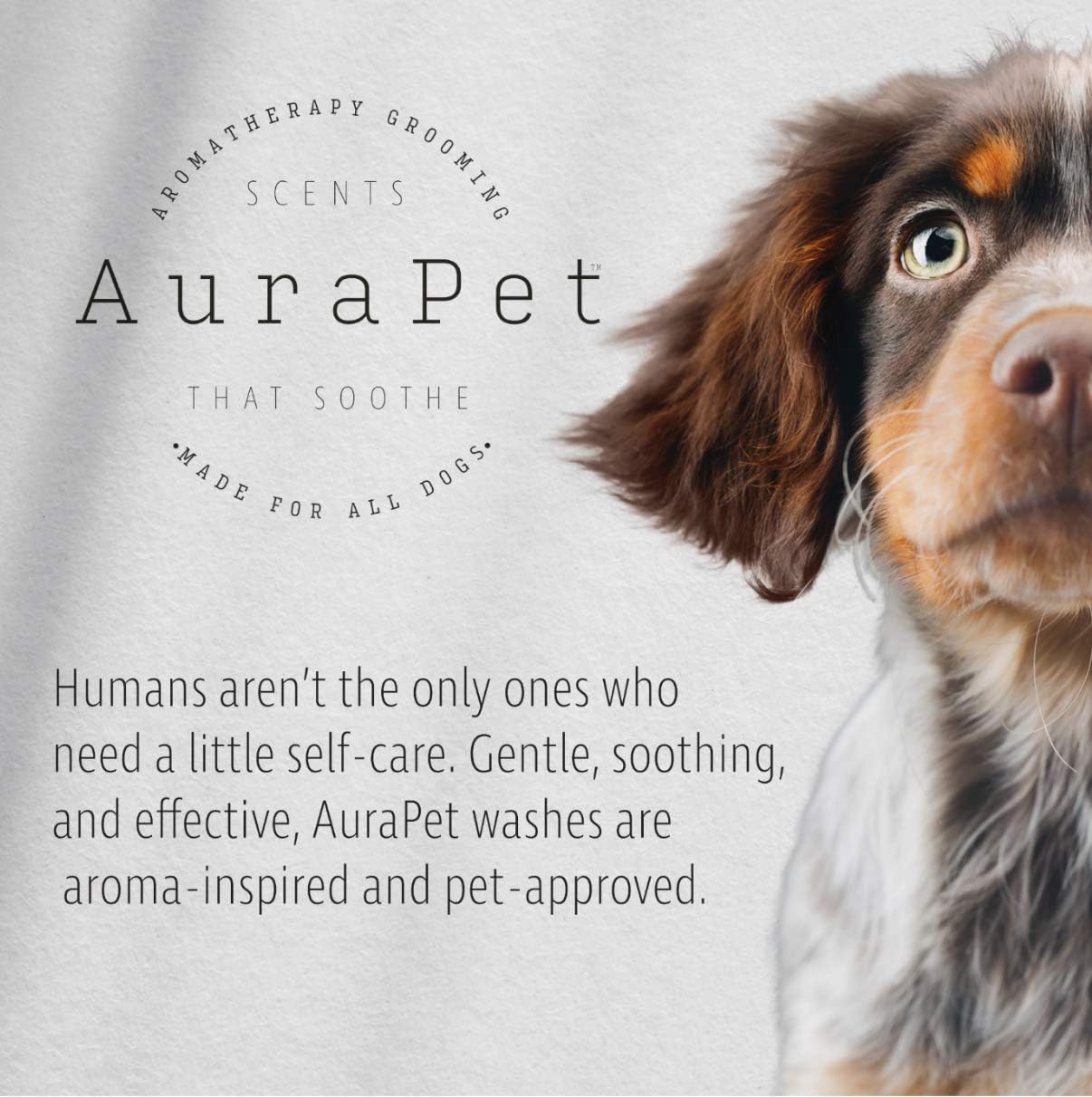 AuraPet Aromatherapy Rosemary Mint Shampoo for Dogs | 8 Oz Pet Shampoo for All Dogs, Great Calming Shampoo for Dogs with Dry, Itchy Skin | Dog Wash, 8 Ounces