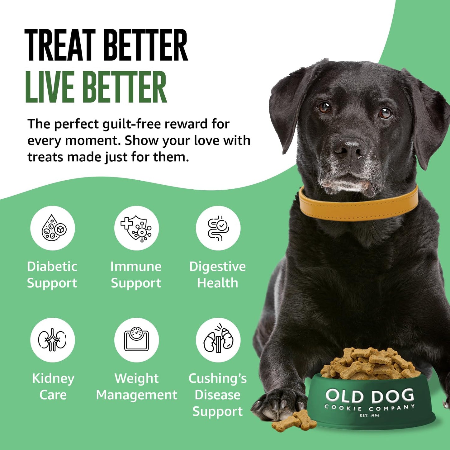 Old Dog Cookie Company Tiny Diabetic Dog Treats | All Natural, 2 Calorie, Vet Approved Pet Snacks | Top Treat for Dogs | Healthy Chews for Large, Medium & Small Breeds | 8 oz