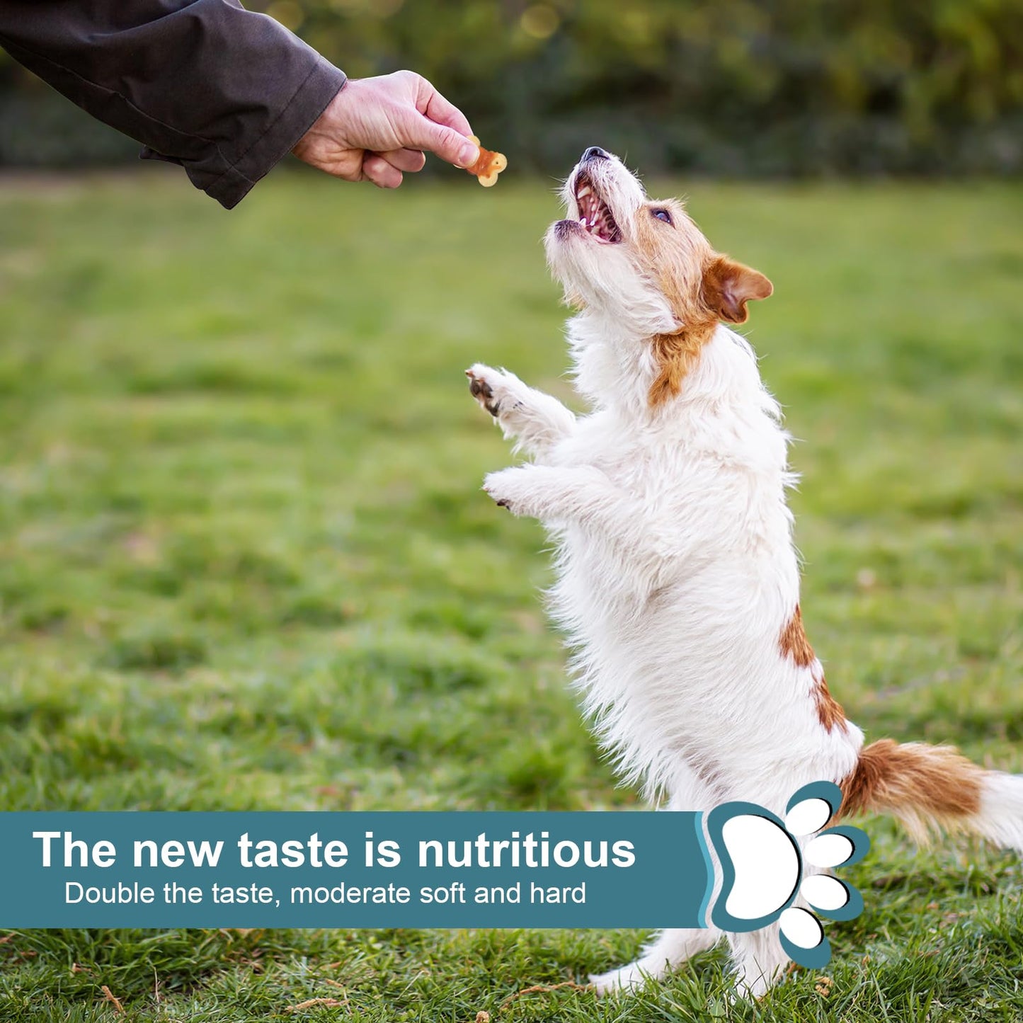 Pawant Dog Treats Biscuits Wrapped in Chicken Chews for Small Dog no Rawhide 0.5lb/227g