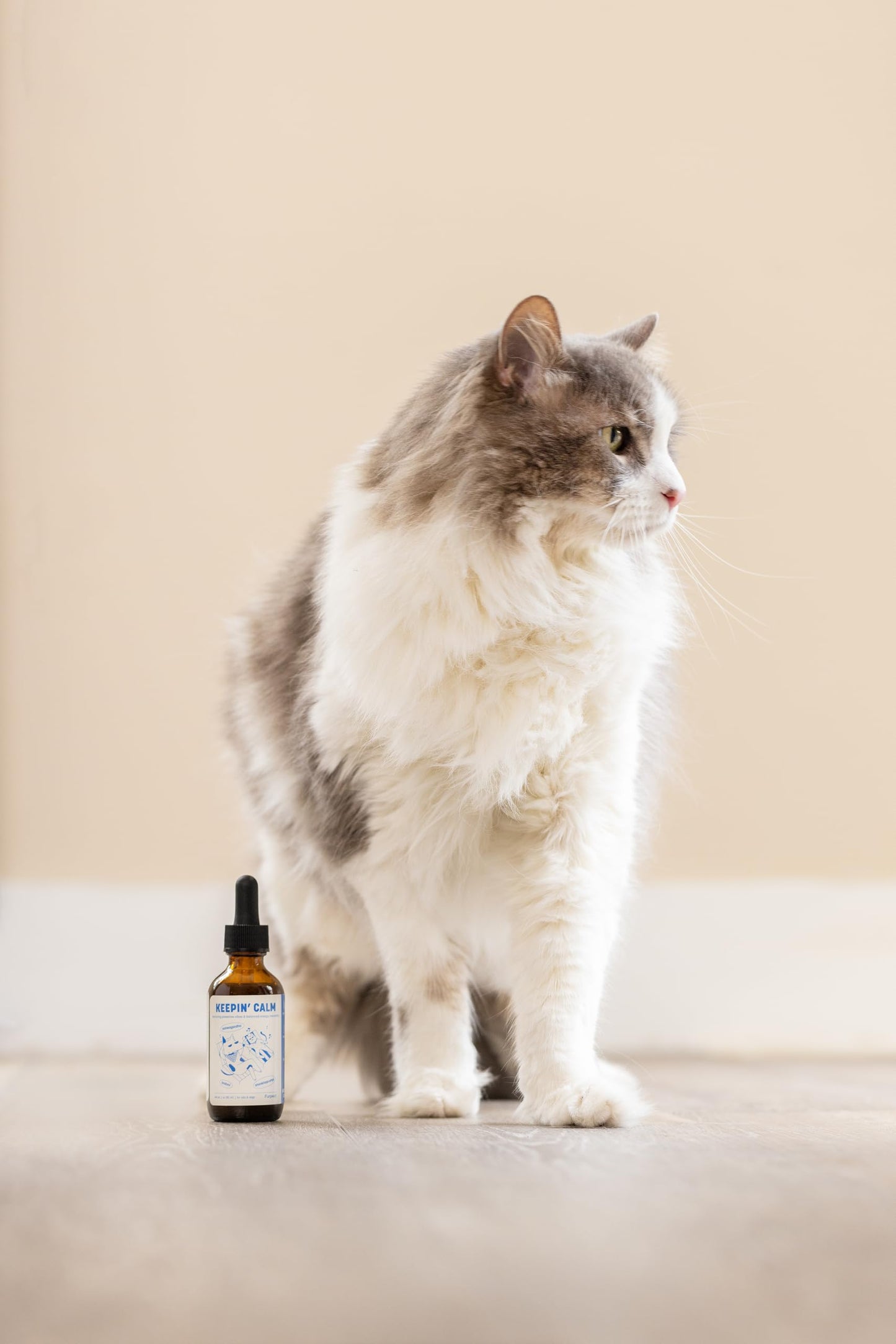 Furpect Keepin' Calm, Natural Herbal Tincture, Anxiety Relief for Dogs & Cats from Stress, Fireworks, Motion, Separation, Storm. Ashwagandha, Herbal Calming, Sleep and Stress Relief Aid, 60ml.